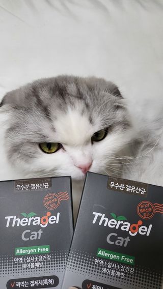 수콩님이 올린 리뷰 사진 4