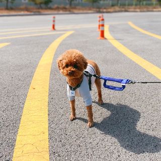 조이님이 올린 리뷰 사진 1