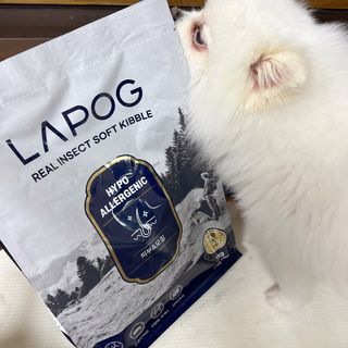 [푸디웜] 라포그 리얼인섹트 소프트키블 스킨 1KG — 5점을 준 리뷰어가 2022년 9월 올린 사용 사진
