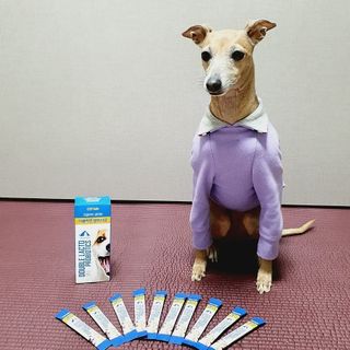씨디랩 장 건강과 구강 건강을 한 번에 더블락토 강아지 고양이 유산균 — 5점을 준 리뷰어가 2021년 1월 올린 사용 사진