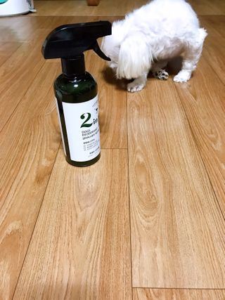 뾰로롱꼬마마녀님이 올린 리뷰 사진 3