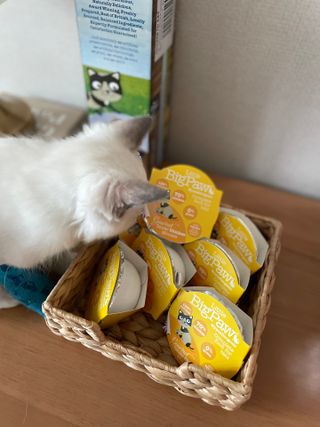 ccoyo님이 올린 리뷰 사진 1