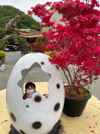 0.8L 마케팅팀 - — 5점을 준 리뷰어가 2021년 5월 올린 사용 사진