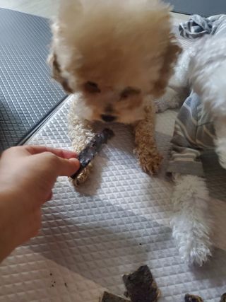 모모맘님이 올린 리뷰 사진 2