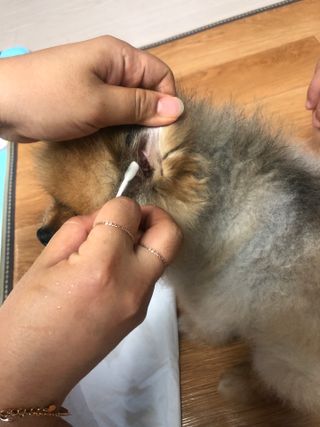 쭈야님이 올린 리뷰 사진 4