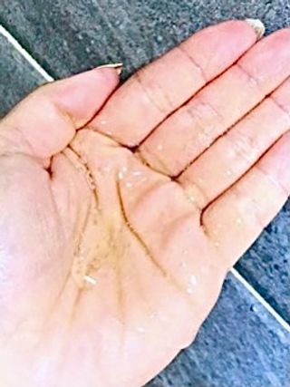 프로방스 프렌치 라벤더 샴푸 1,000ml — 5점을 준 리뷰어가 2021년 5월 올린 사용 사진