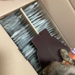 참유원 특허제조 활력 여주진액 여주즙 50포 — 리뷰어가 2022년 3월 올린 사용 사진