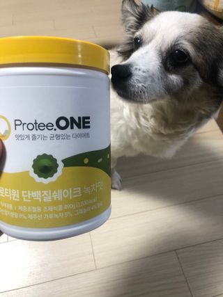 프로티원 단백질쉐이크 녹차맛 2주분 1통+보틀 — 5점을 준 리뷰어가 2021년 3월 올린 사용 사진