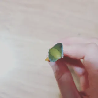 오세요님이 올린 리뷰 사진 4