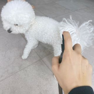JENNY님이 올린 리뷰 사진 3