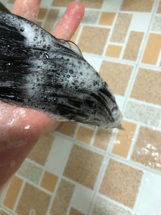 노현서님이 올린 리뷰 사진 4