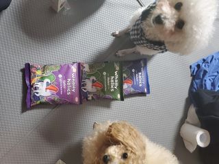 모모맘님이 올린 리뷰 사진 1