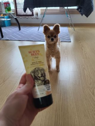 다솜이마마님이 올린 리뷰 사진 3