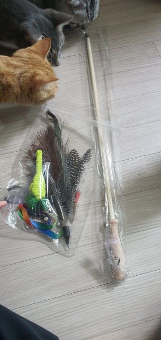 이째님이 올린 리뷰 사진 1