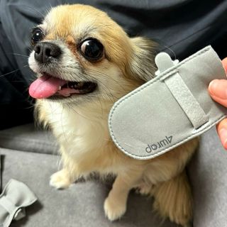 초초이님이 올린 리뷰 사진 2