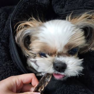 베베츄님이 올린 리뷰 사진 2
