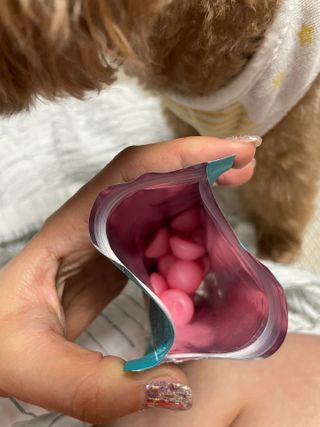 푸름웰니스 라바 쑥쑥구미 36g — 5점을 준 리뷰어가 2022년 3월 올린 사용 사진