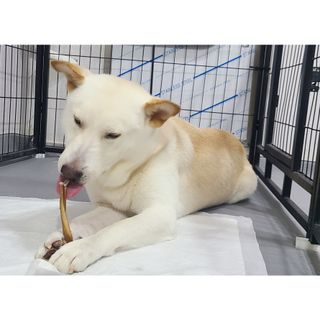 콩콩님이 올린 리뷰 사진 3