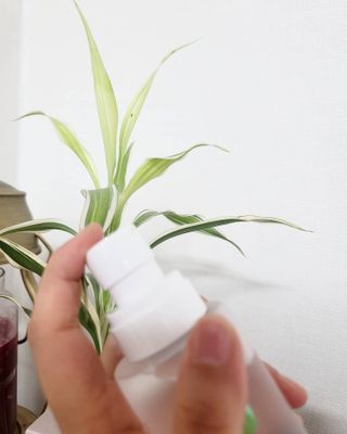 [시카앰플] 묘오한 고마진정할때 진정 스프레이 앰플 150ml — 5점을 준 리뷰어가 2021년 3월 올린 사용 사진