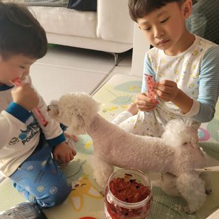 미르별님이 올린 리뷰 사진 2