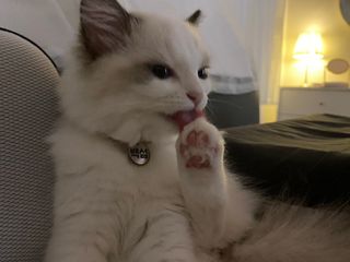 율집사님이 올린 리뷰 사진 1