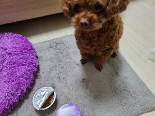 연이님이 올린 리뷰 사진 4