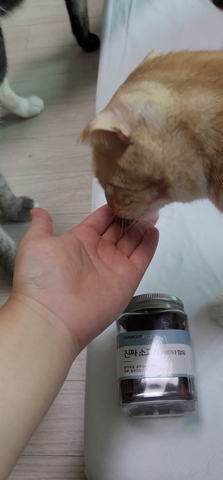 이째님이 올린 리뷰 사진 3