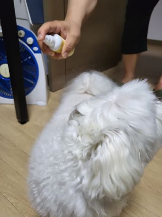 Zenithhappy님이 올린 리뷰 사진 4