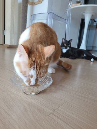 으나님이 올린 리뷰 사진 4