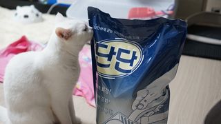 도르방구님이 올린 리뷰 사진 1