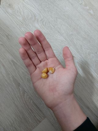 연우맘님이 올린 리뷰 사진 3