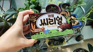 련리님이 올린 리뷰 사진 2