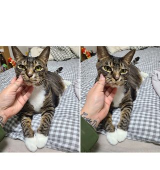 고은지님이 올린 리뷰 사진 1