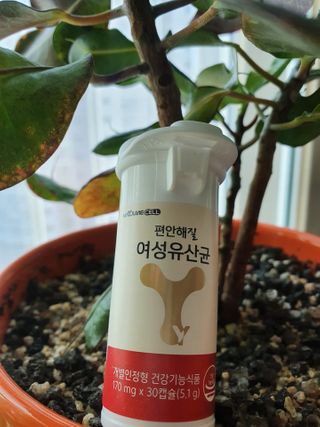 메이준뉴트리 메이준쎌 편안해질 여성유산균 — 5점을 준 리뷰어가 2021년 2월 올린 사용 사진