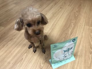 My Pet Care 천연단백질 눈건강에 개좋아 — 5점을 준 리뷰어가 2021년 2월 올린 사용 사진
