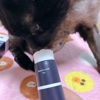 코코몰리 오랄케어 데일리 맛있게 건강한 반려동물 안심치약 — 5점을 준 리뷰어가 2021년 3월 올린 사용 사진