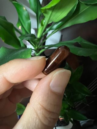 프리마인 홍삼의 강력한 에너지, 이제는 흡수율을 높인 최첨단 캡슐로 간편하게 초고속 충전하세요. — 5점을 준 리뷰어가 2022년 6월 올린 사용 사진