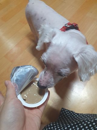 이챠님이 올린 리뷰 사진 3