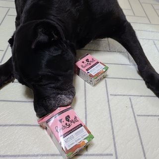 기린짱맘님이 올린 리뷰 사진 4
