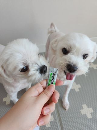 뽀야님이 올린 리뷰 사진 2