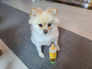 모르님이 올린 리뷰 사진 3
