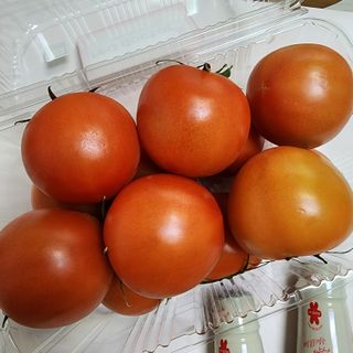 플로라님이 올린 리뷰 사진 2