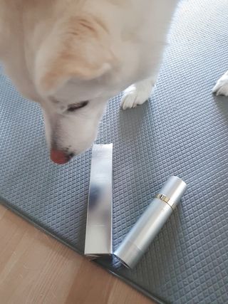 딸랑구둘🥰님이 올린 리뷰 사진 4