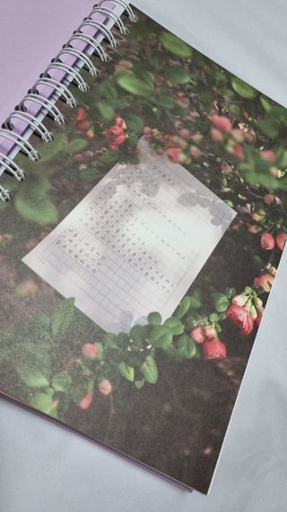 spring🐤님이 올린 리뷰 사진 2