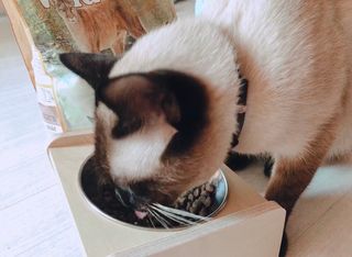 모닝스타님이 올린 리뷰 사진 2