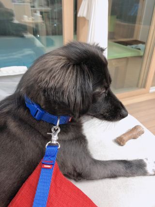 고구마님이 올린 리뷰 사진 3