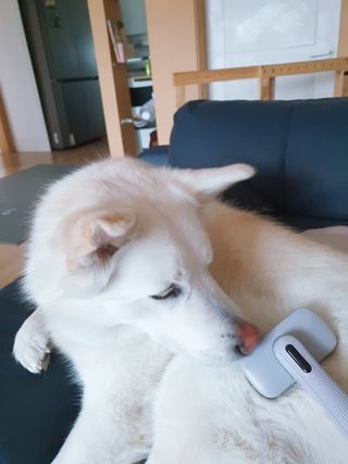 딸랑구둘🥰님이 올린 리뷰 사진 2
