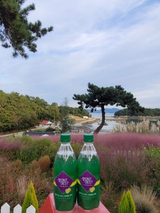 몽베스트 Montbest with Sparkling water Lemon OR Lime 20병(랜덤) — 5점을 준 리뷰어가 2021년 10월 올린 사용 사진
