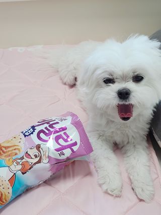 송린깡님이 올린 리뷰 사진 3