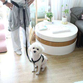 알럽은서님이 올린 리뷰 사진 1